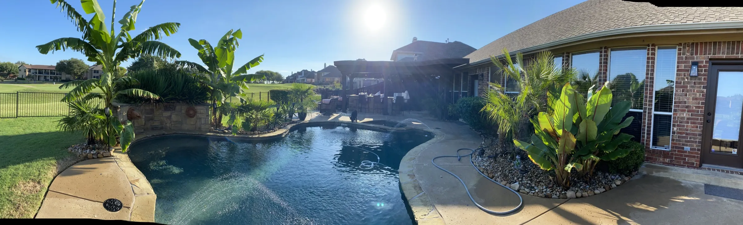 Backyard and pool, from the ground